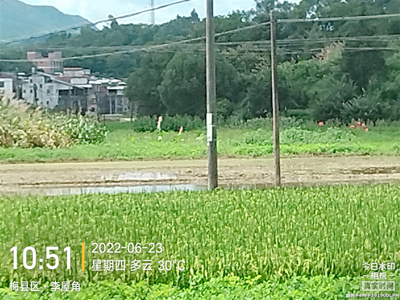梅西基地撂荒前