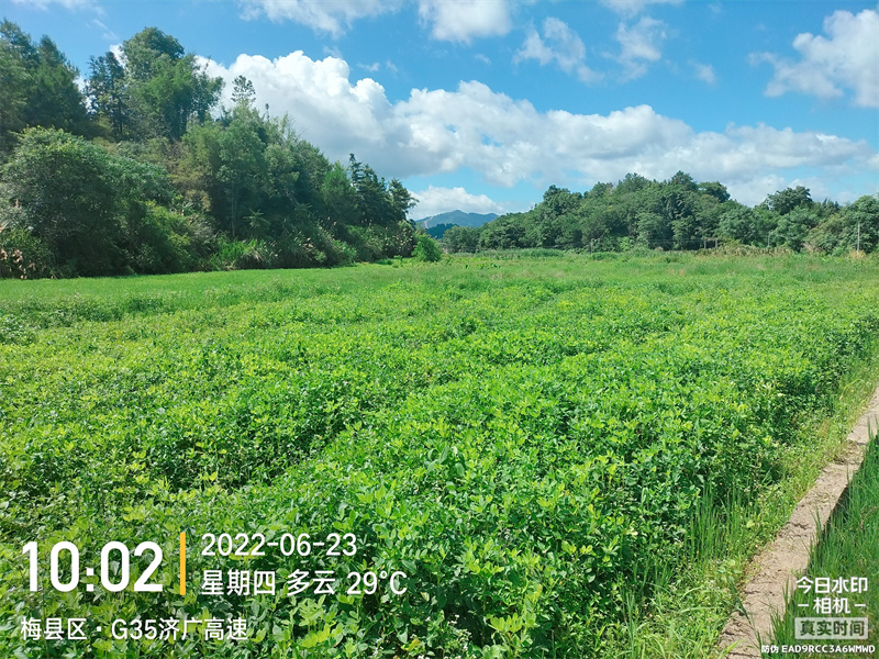梅西基地撂荒前