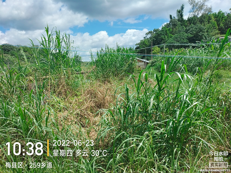 梅西基地撂荒前