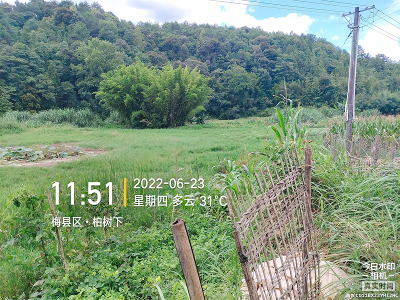 梅西基地撂荒前