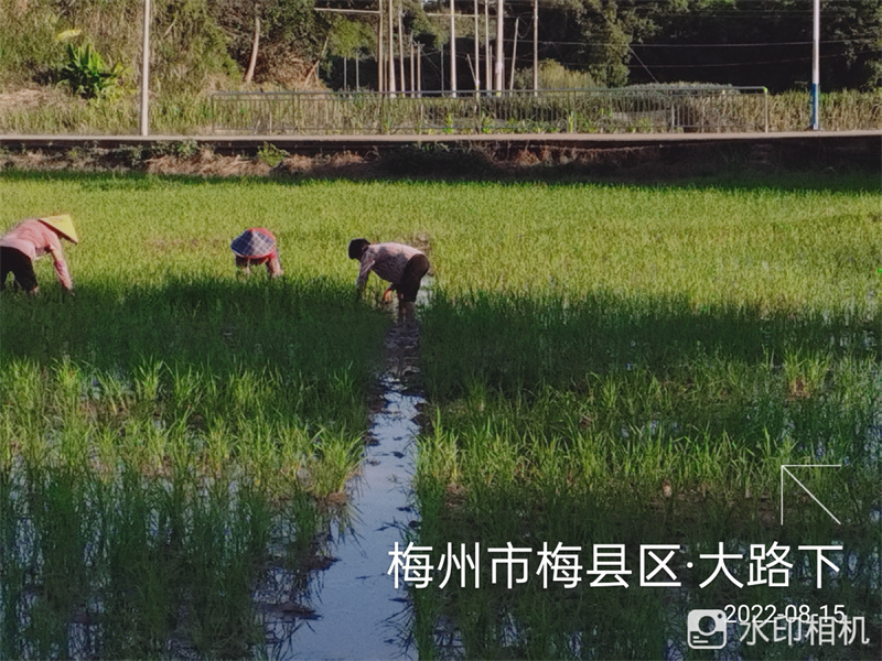 梅西基地撂荒后