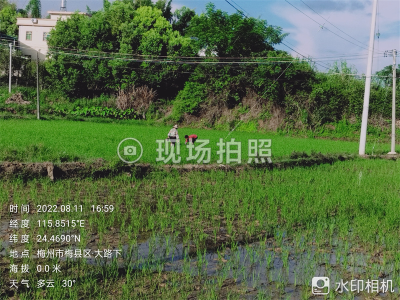 梅西基地撂荒后
