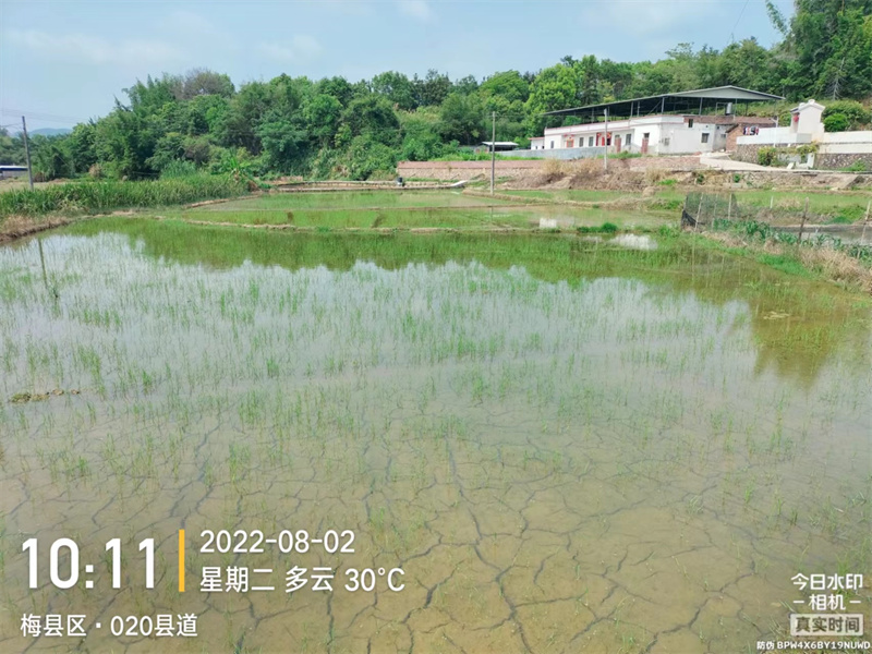 梅西基地撂荒后