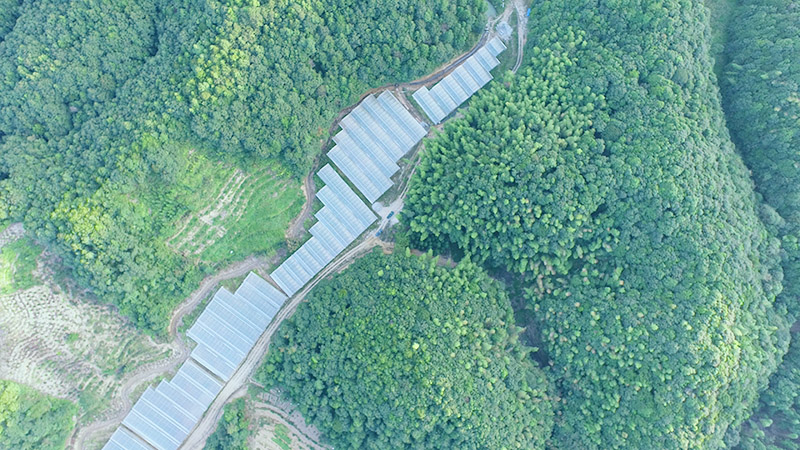 蔬菜航拍图